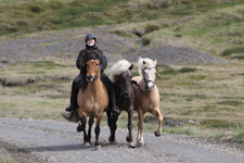 Iceland-West-Hot Springs, Lava Fields & Trails